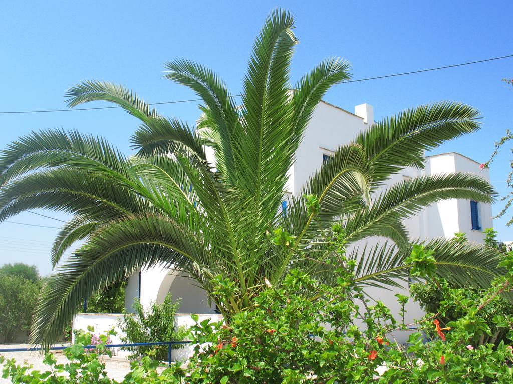 Naxos City Mavromatis Studios מראה חיצוני תמונה